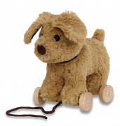 h�zogat�s j�t�k - Dexter Kutya Dexter Kutya